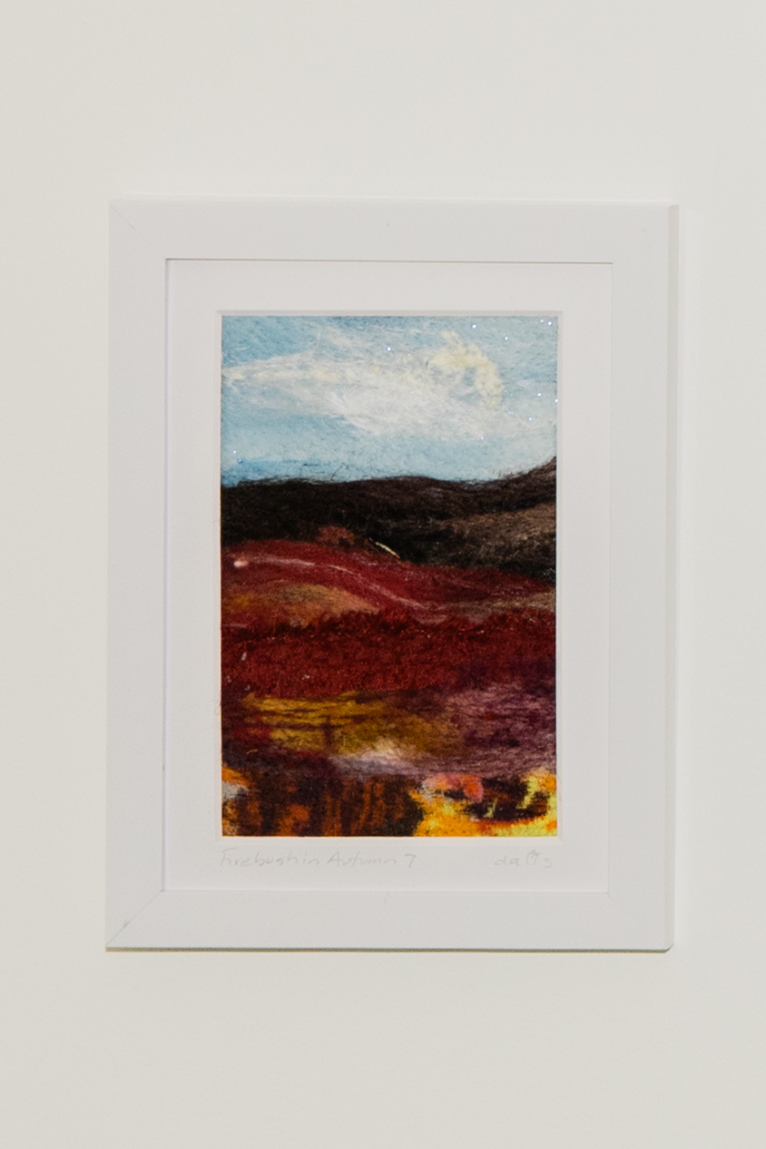Fiber landscape by Dalis Davidson